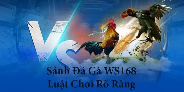 Hướng Dẫn Cách Chơi Đá Gà WS168 Tại ANO88 Đỉnh Cao Dễ Thắng Nhất 2 Hướng Dẫn Cách Chơi Đá Gà WS168 Tại ANO88 Đỉnh Cao Dễ Thắng Nhất