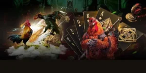 Bật Mí Chiến Thuật Cách Chơi Đá Gà GA28 Tại ANO88 Siêu Chuẩn